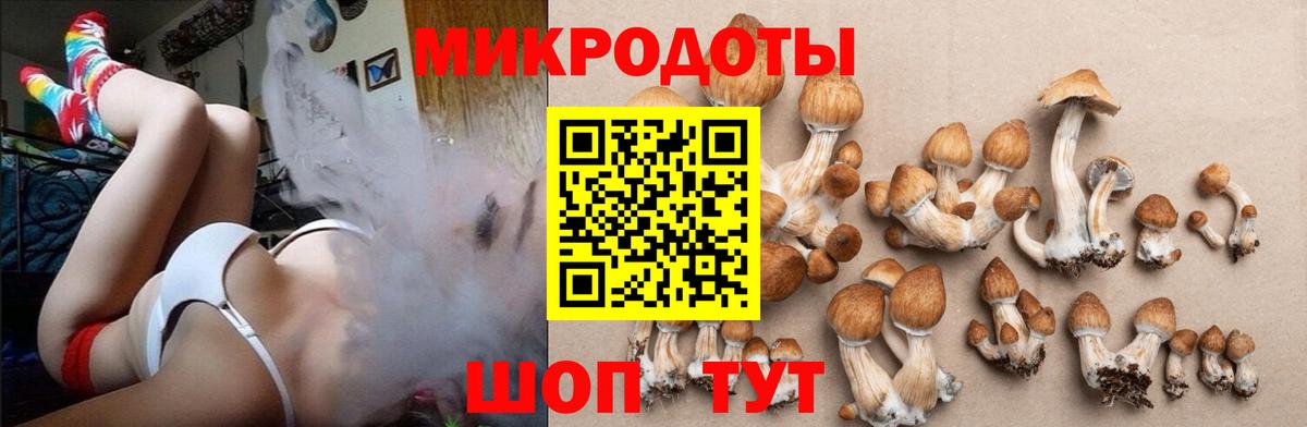 Галлюциногенные грибы мухоморы  Вход с VPN  Кандалакша 